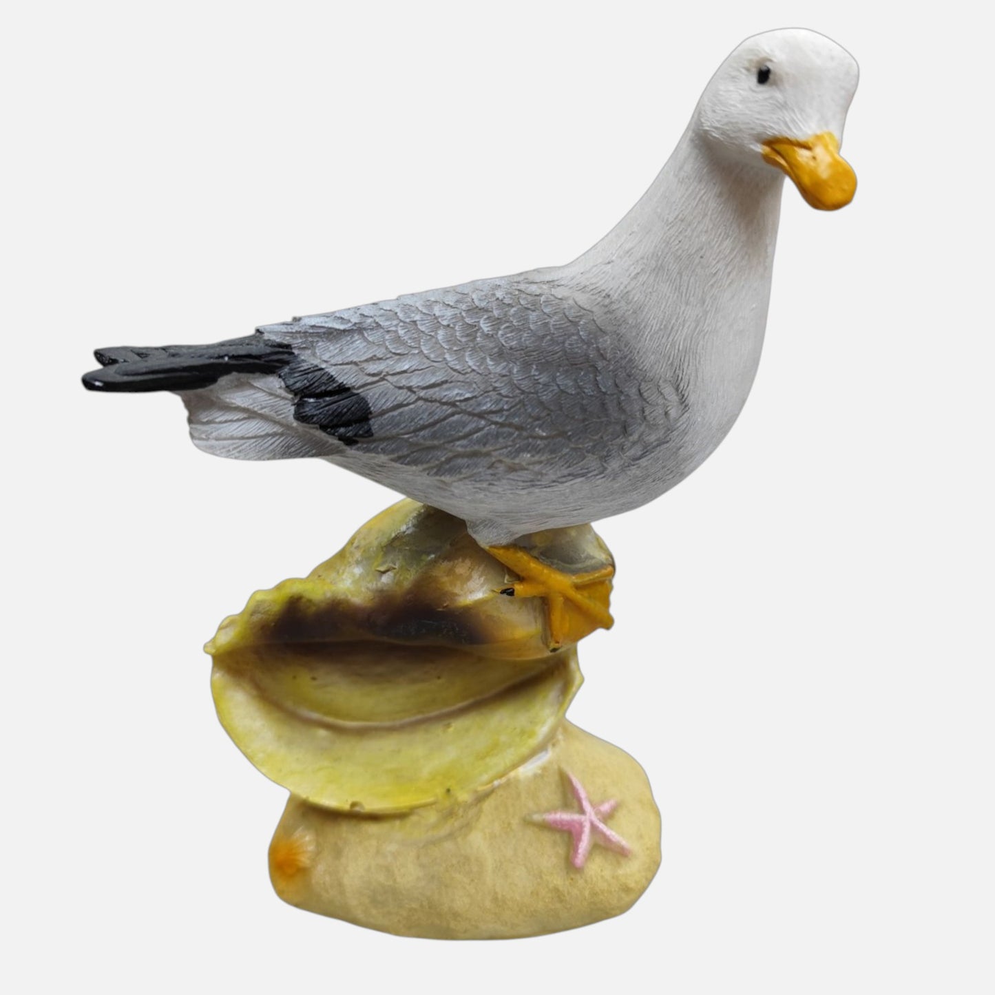 Gaviota en Concha Marina